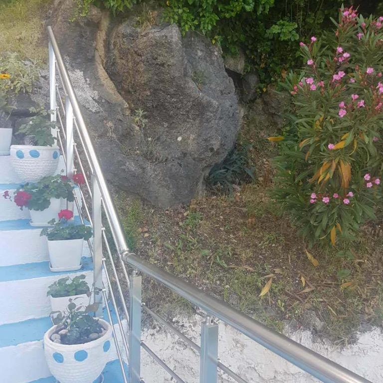 Apartmani Micunovic - Studio - 27