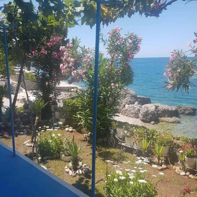 Apartmani Micunovic - Studio - 36