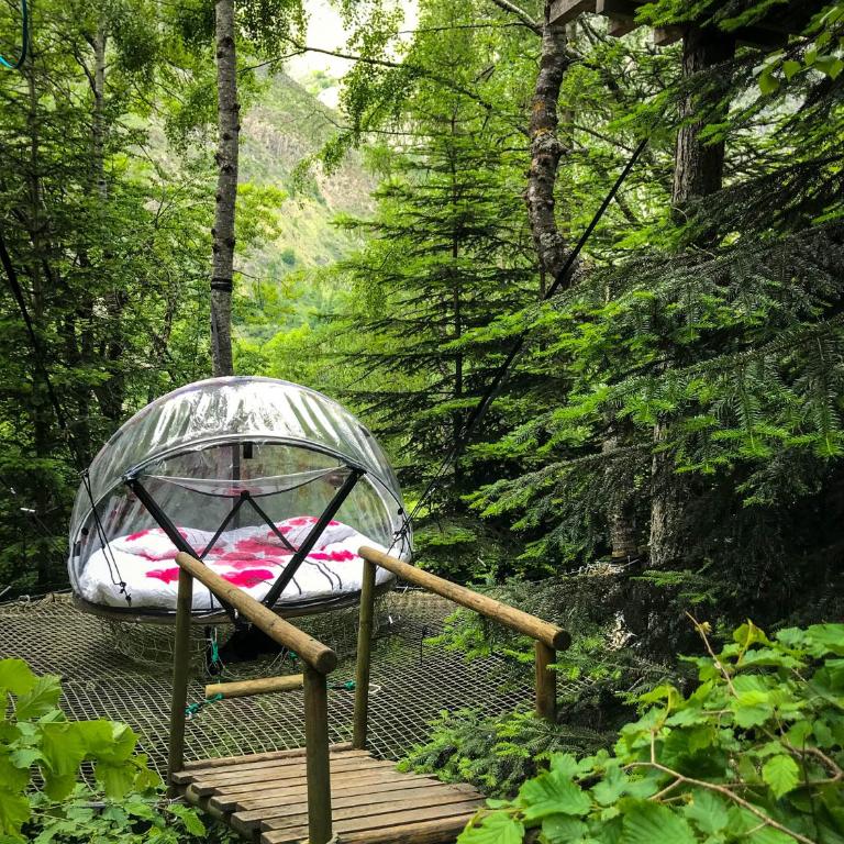 Nuit insolite bulle forêt glamping - Chambre Double - 2