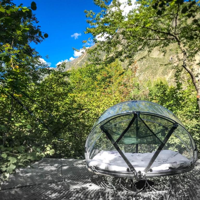 Nuit insolite bulle forêt glamping - Chambre Double - 3