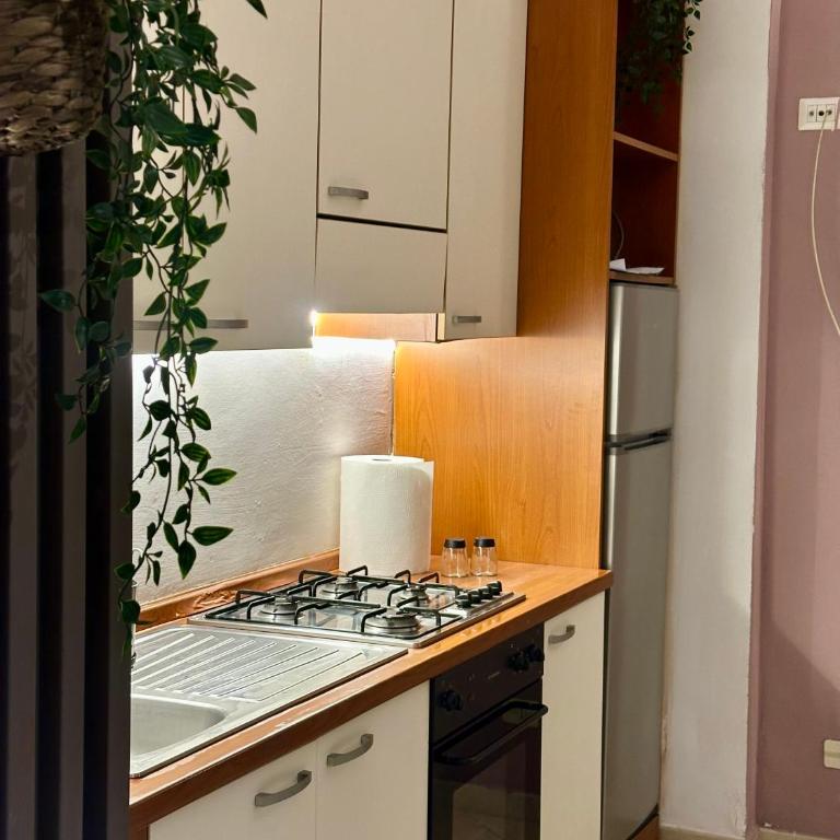 MIMMO's HOUSE 3 - One-Bedroom Apartment - 4