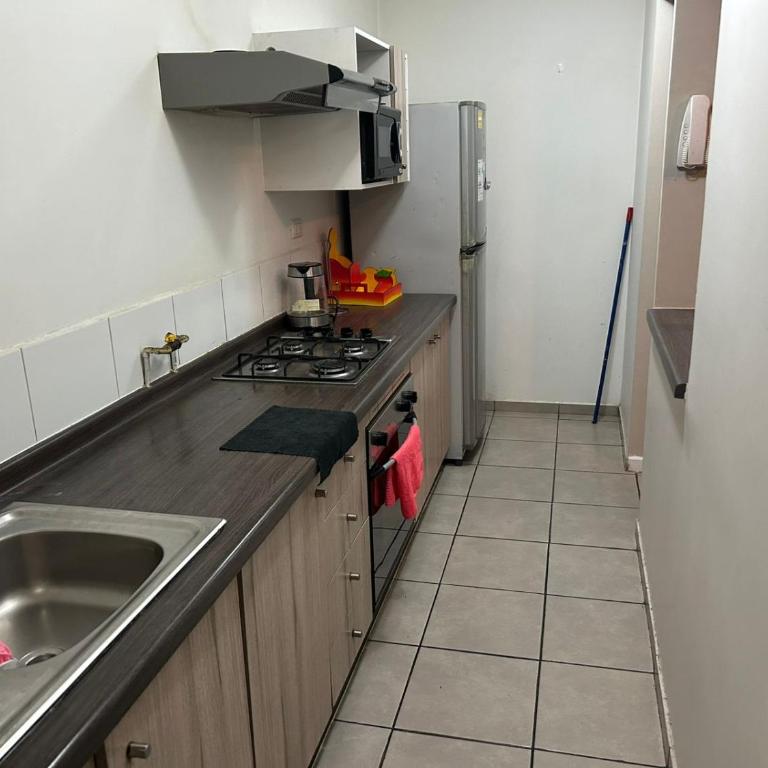 Arriendo depto por el verano - Apartment - 9