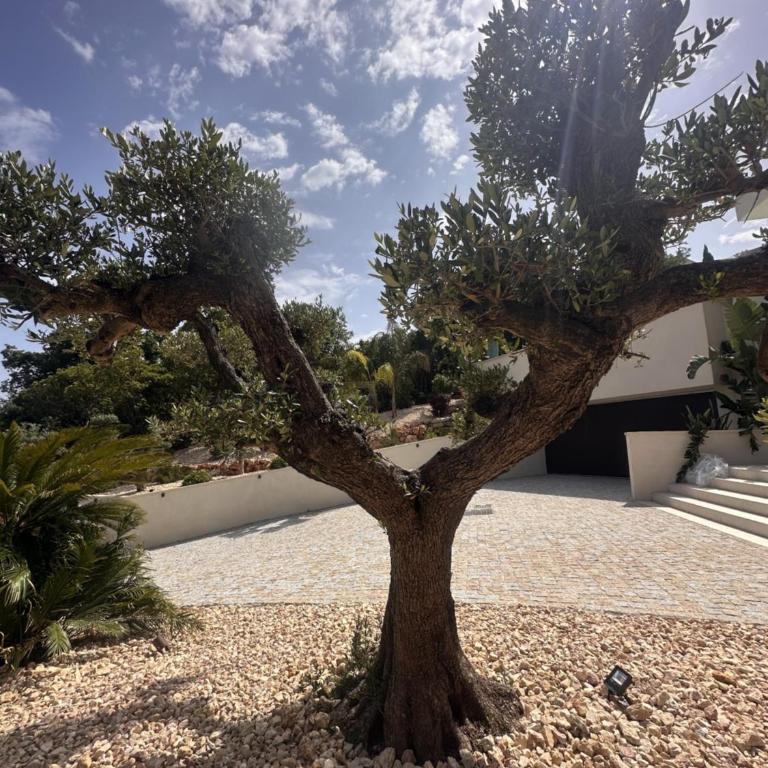 Villa Les Issambres, piscine débordement, vue mer - Villa - 12