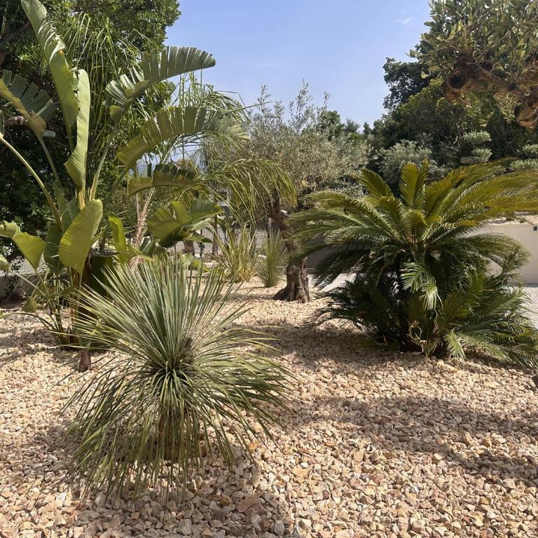 Villa Les Issambres, piscine débordement, vue mer - Villa - 10