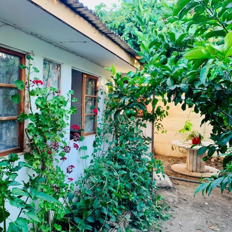 New House near Ovalle Trees and Large Patio - Two-Bedroom House - 1