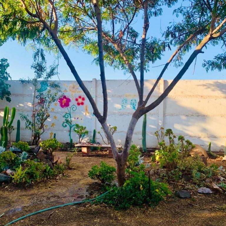 New House near Ovalle Trees and Large Patio - Two-Bedroom House - 2
