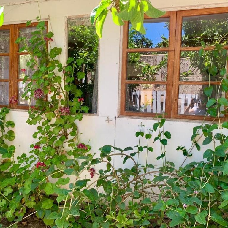 New House near Ovalle Trees and Large Patio - Two-Bedroom House - 8