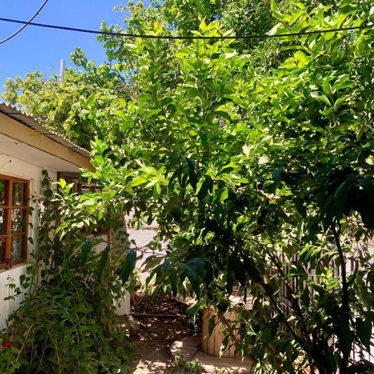 New House near Ovalle Trees and Large Patio - Two-Bedroom House - 12