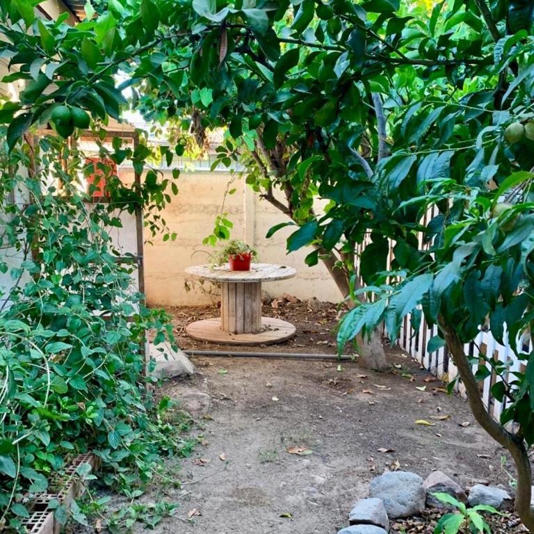 New House near Ovalle Trees and Large Patio - Two-Bedroom House - 13
