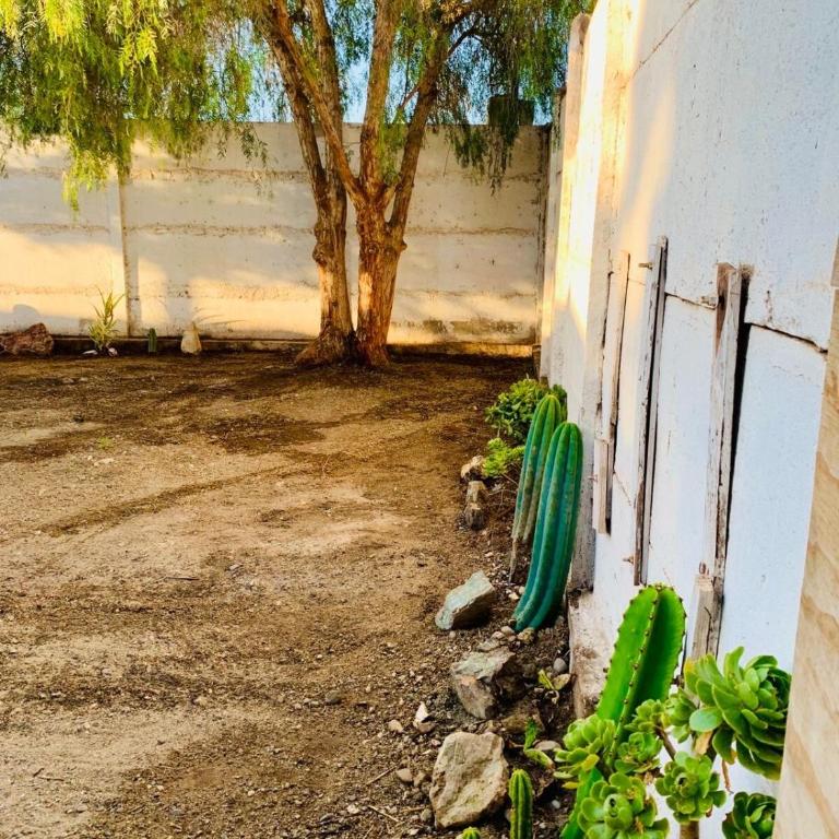 New House near Ovalle Trees and Large Patio - Two-Bedroom House - 14