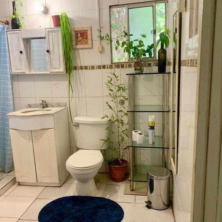 New House near Ovalle Trees and Large Patio - Two-Bedroom House - 18