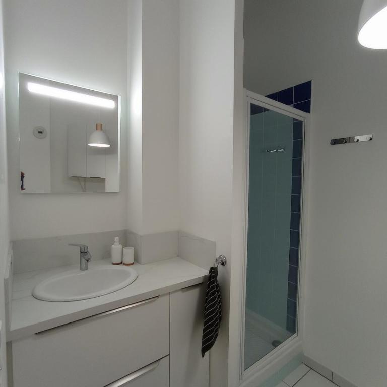 Charmant T2 45M2 RDC au coeur du vieux Lille - Appartement 1 Chambre - 14
