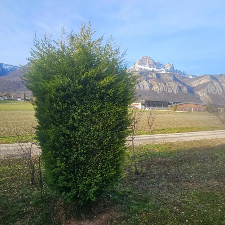 Villa Berninoise - Villa 3 Chambres - 11