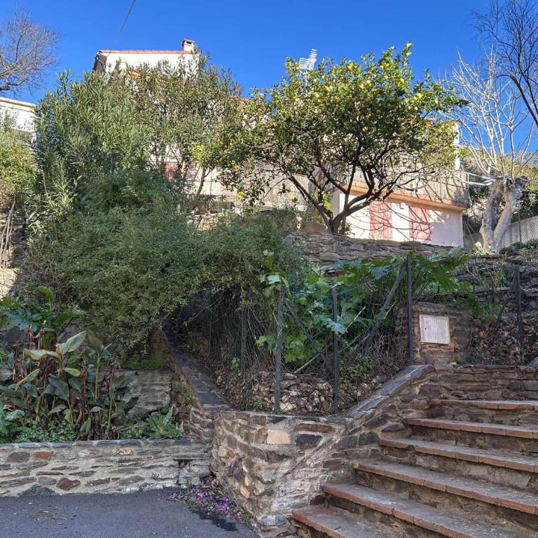 Studio 2 couchages BANYULS SUR MER BN660-001 - Appartamento Monolocale - 17