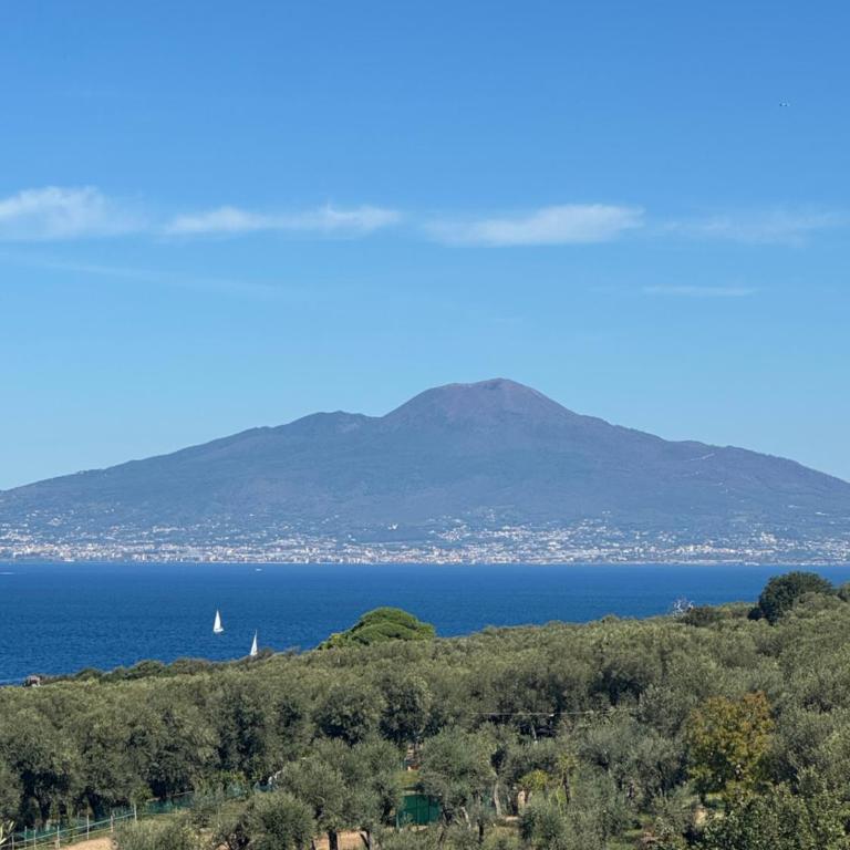 Villa Rosmary - One-Bedroom Apartment with View - 24