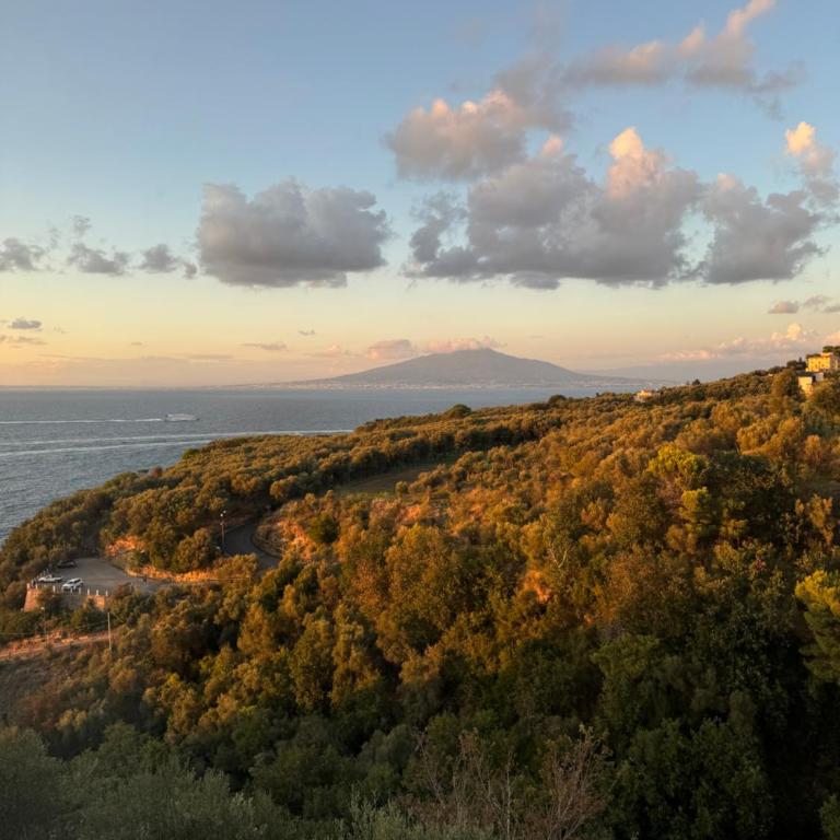 Villa Rosmary - One-Bedroom Apartment with View - 19
