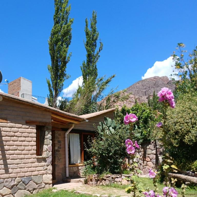 Cabaña Sol de Tilcara - Two-Bedroom House - 9