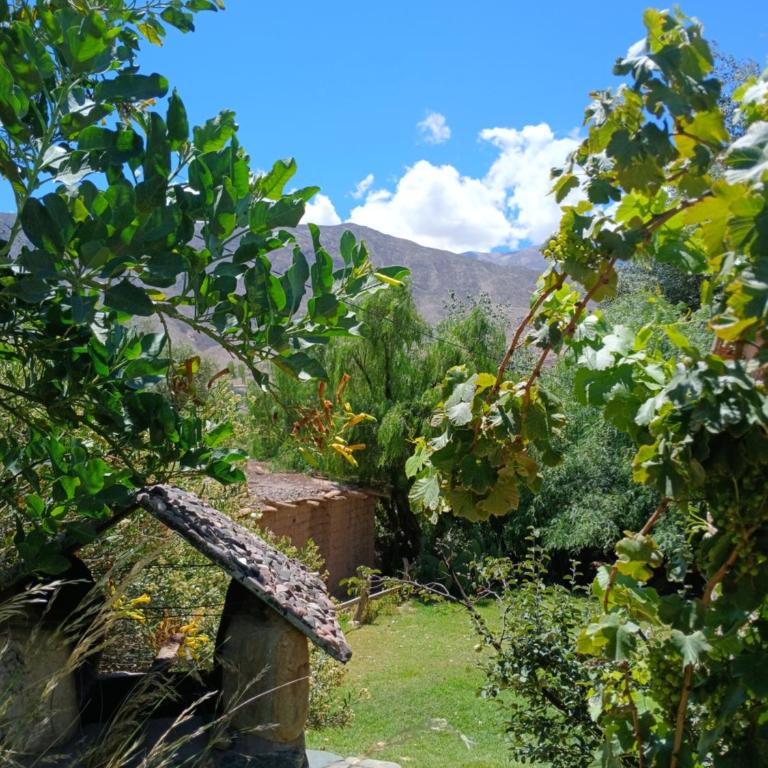 Cabaña Sol de Tilcara - Two-Bedroom House - 10