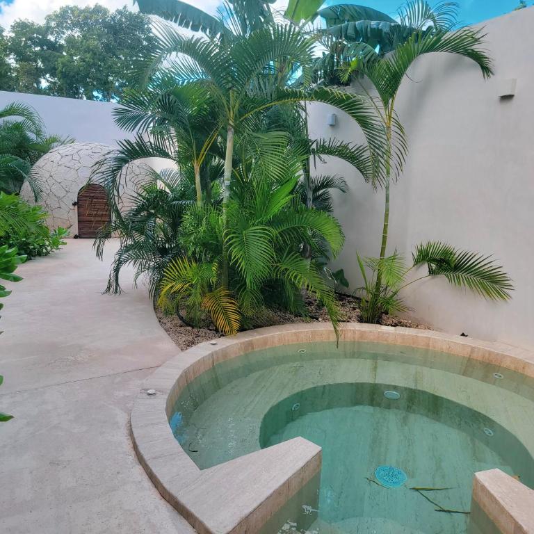 Estudio nuevo en Tulum 5 minutos de la playa con alberca y Gym - One-Bedroom Apartment - 57
