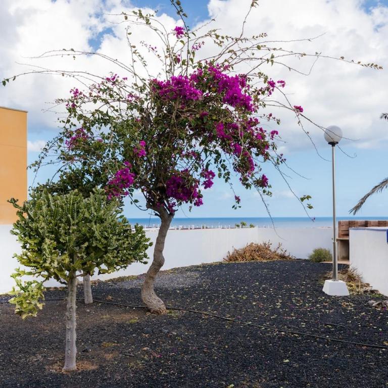 Casa Isa Amaya - One-Bedroom Apartment - 6