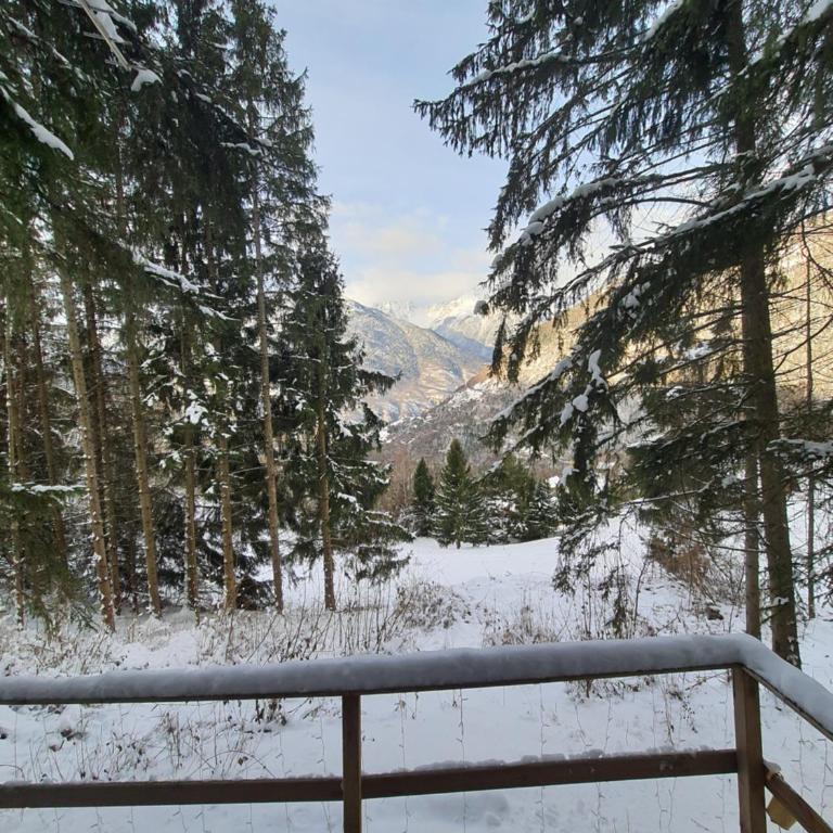 Chalet savoyard "le Sapinet" - Chalet 1 Chambre - 17