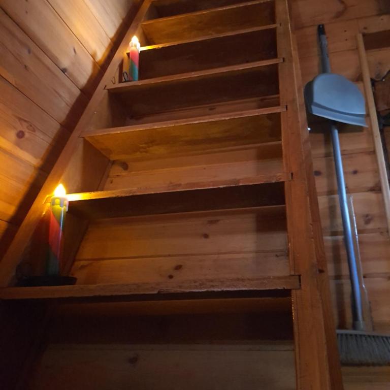 Chalet savoyard "le Sapinet" - Chalet 1 Chambre - 21