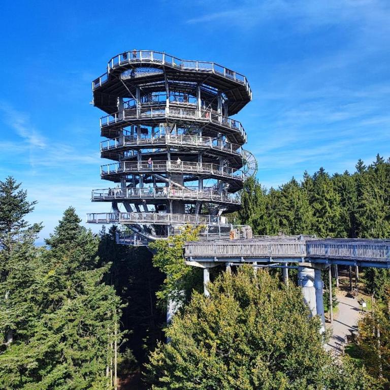 Ferienwohnung Wallner Rosi - Appartamento con 1 Camera da Letto - 25