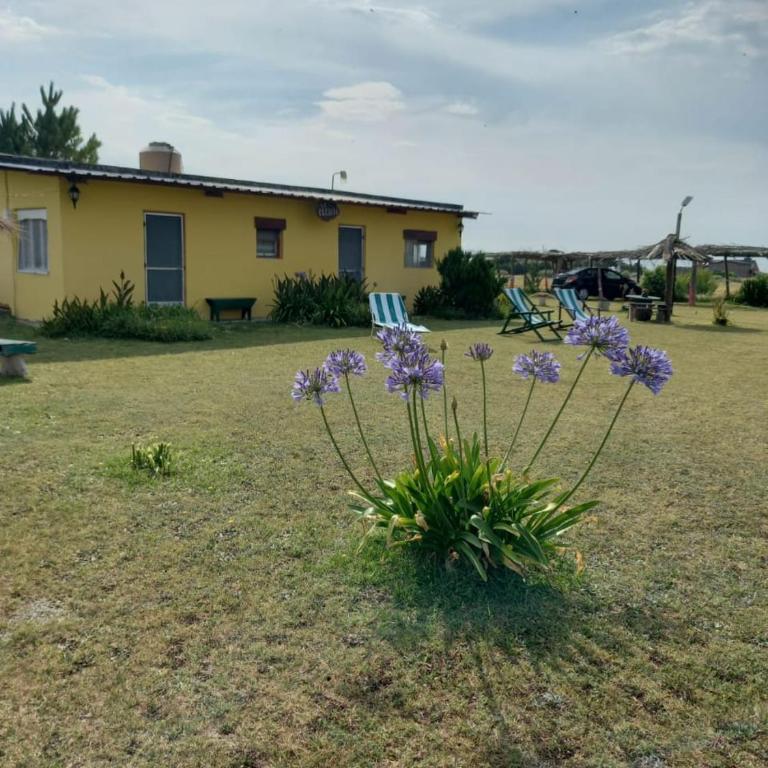 La Elegida alojamiento de playa - Casa con 1 dormitorio - 16