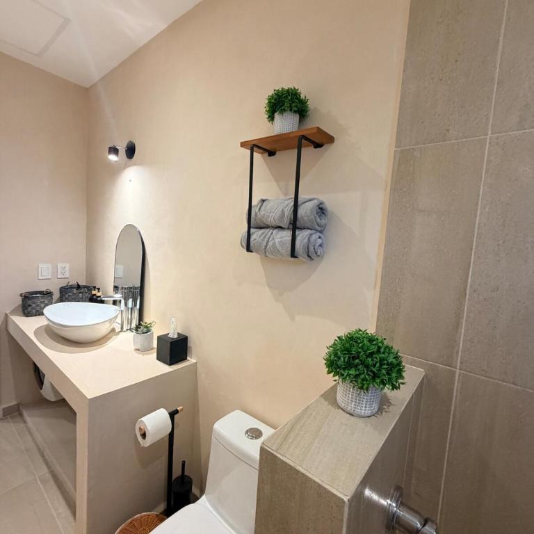 Nuevo estudio con rooftop y alberca cerca de la 5a Av y playa - One-Bedroom Apartment - 5