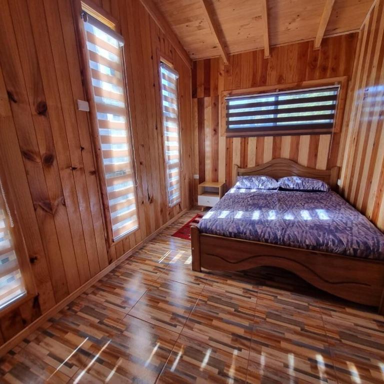 Cabañas entre coihues - Two-Bedroom Apartment - 3