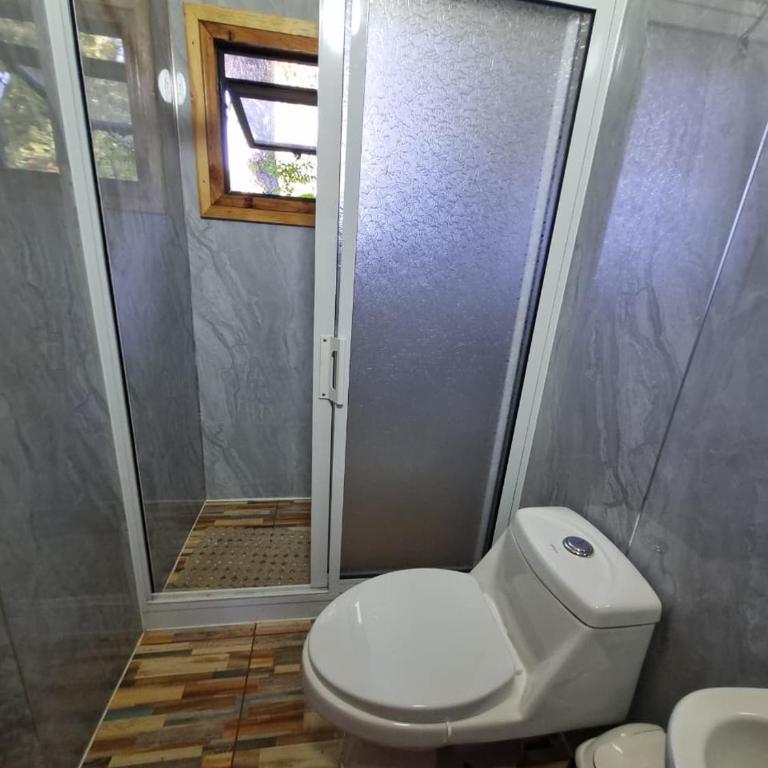 Cabañas entre coihues - Two-Bedroom Apartment - 4