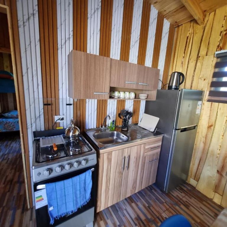 Cabañas entre coihues - Two-Bedroom Apartment - 5