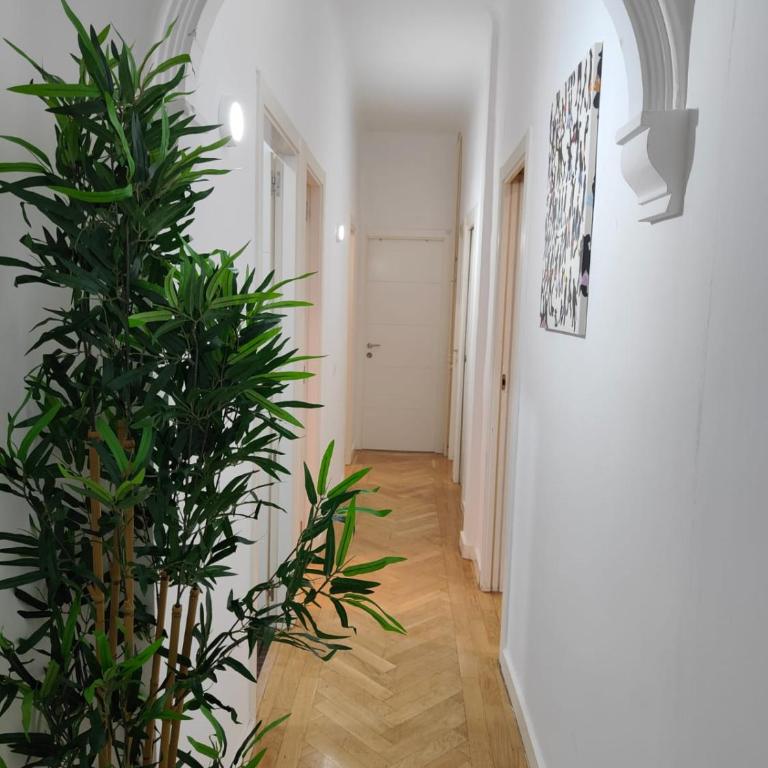 Zurbano Street, Private rooms - Apartamento - 6