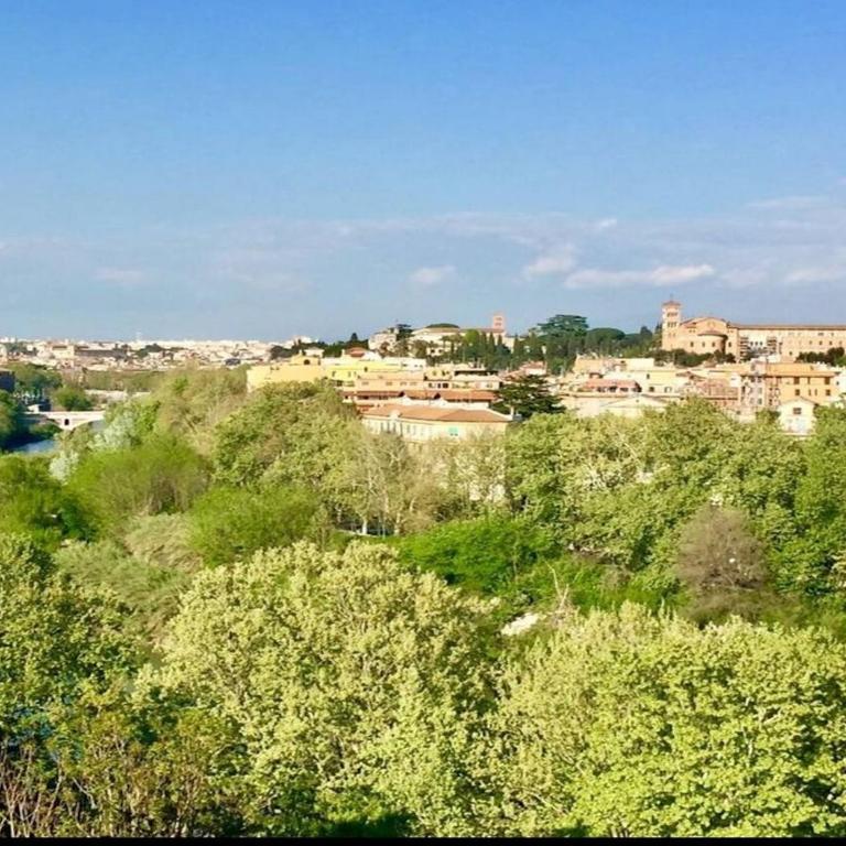 Terrace with Tiber View - Trastevere - Monolocale con Balcone - 27