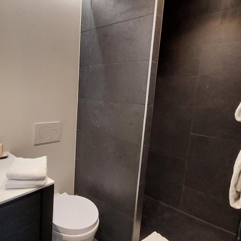L’appart rue Minvielle - Appartement 3 Chambres - 11