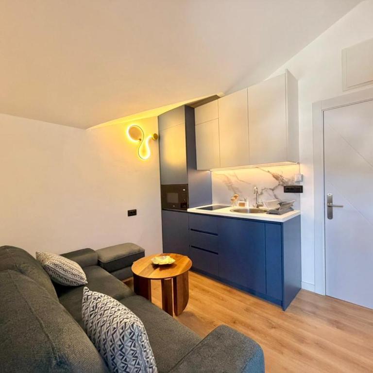 Urban Apartments Babilonija - Deluks Apartman sa 1 Spavaćom Sobom - 8