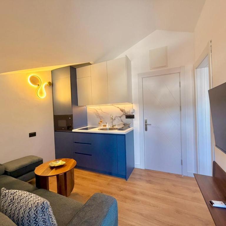 Urban Apartments Babilonija - Deluks Apartman sa 1 Spavaćom Sobom - 9