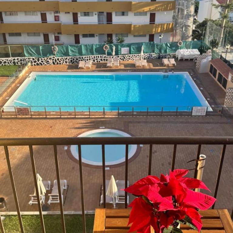 Seaview Apartment Los Cactus - Apartamento de 2 dormitorios - 3