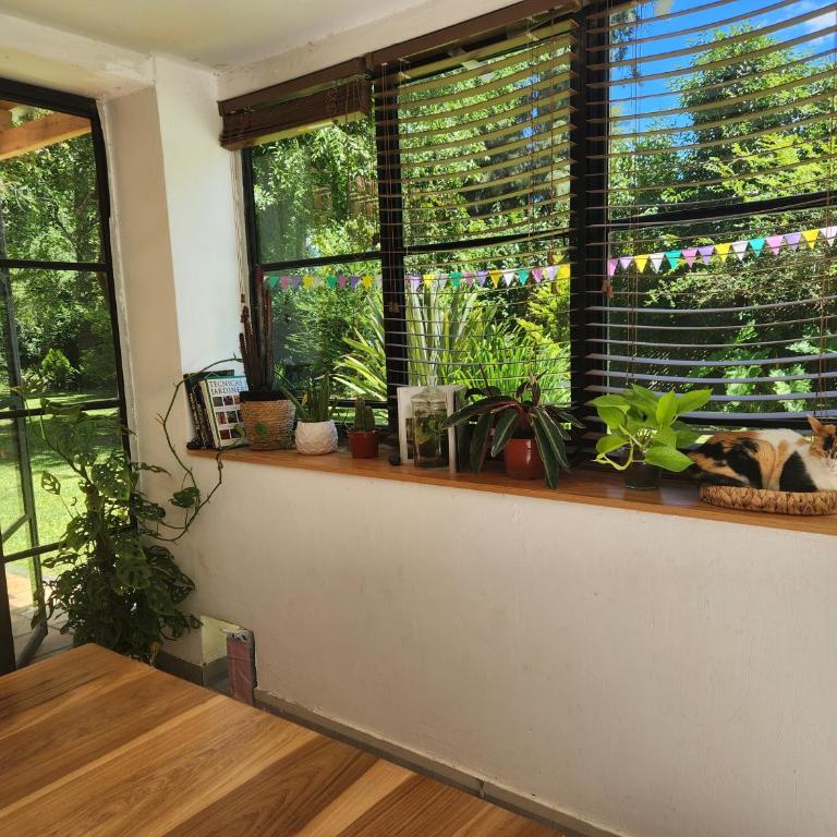 Hermosa casa quinta en Maschwitz - Casa de 5 dormitorios - 47