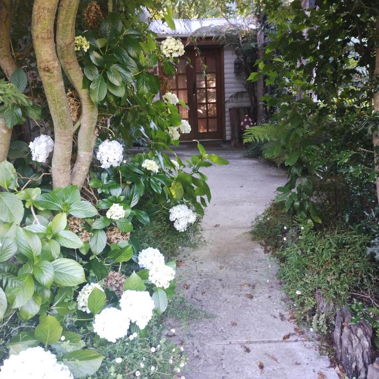 Cabaña 2 personas Pétalos Villarrica - Casa con 1 dormitorio - 1