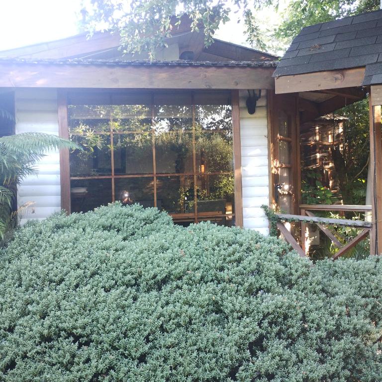 Cabaña 2 personas Pétalos Villarrica - Casa con 1 dormitorio - 4