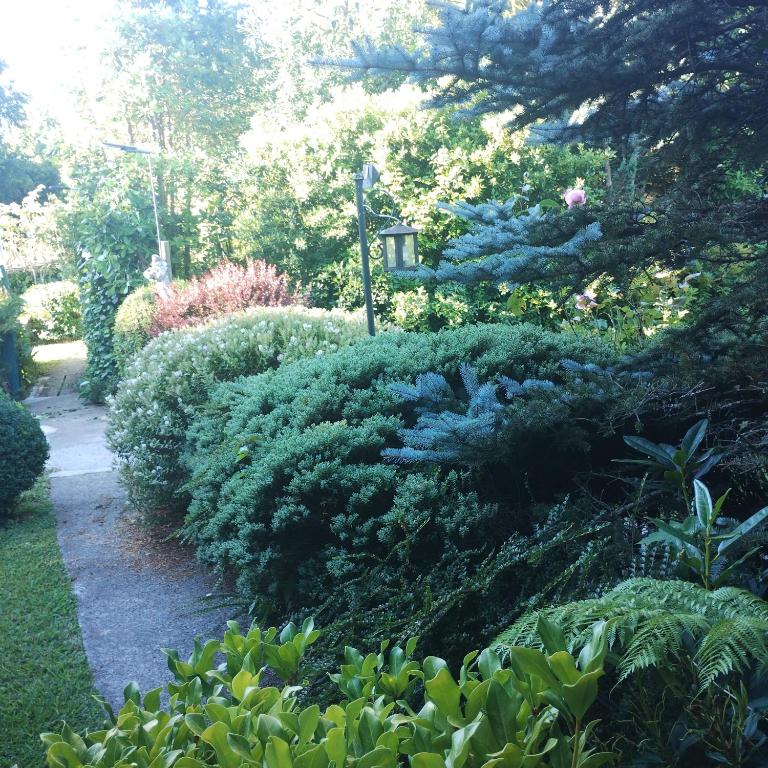 Cabaña 2 personas Pétalos Villarrica - Casa con 1 dormitorio - 17