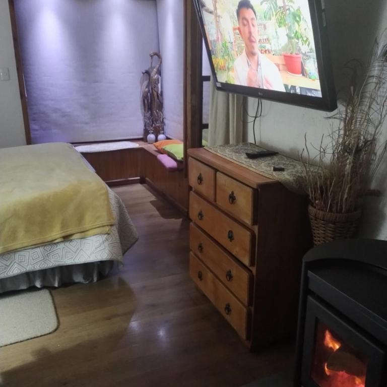 Cabaña 2 personas Pétalos Villarrica - Casa con 1 dormitorio - 22