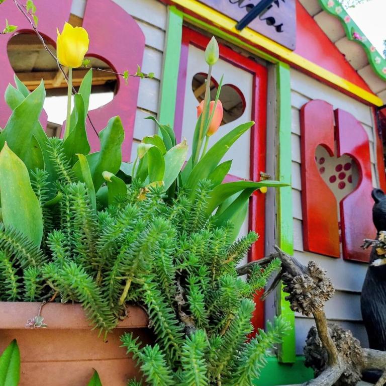 Cabaña 2 personas Pétalos Villarrica - Casa con 1 dormitorio - 24