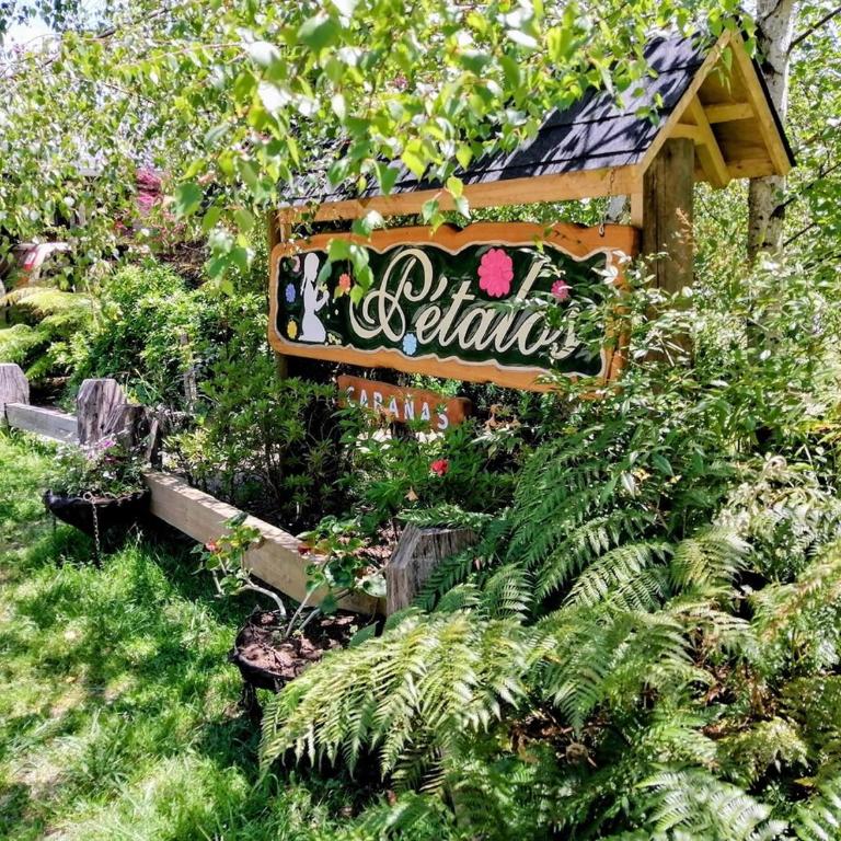 Cabaña 2 personas Pétalos Villarrica - Casa con 1 dormitorio - 25