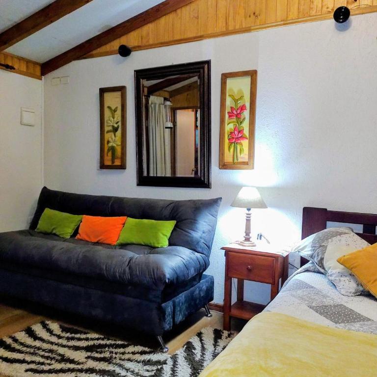 Cabaña 2 personas Pétalos Villarrica - Casa con 1 dormitorio - 28
