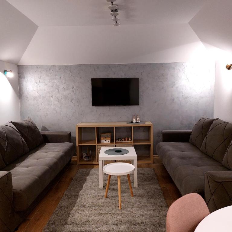 Vila Breg Kopaonik Centar - Apartman sa 1 Spavaćom Sobom - 1