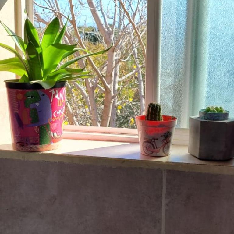 Alborada II - Casa de 3 dormitorios - 14