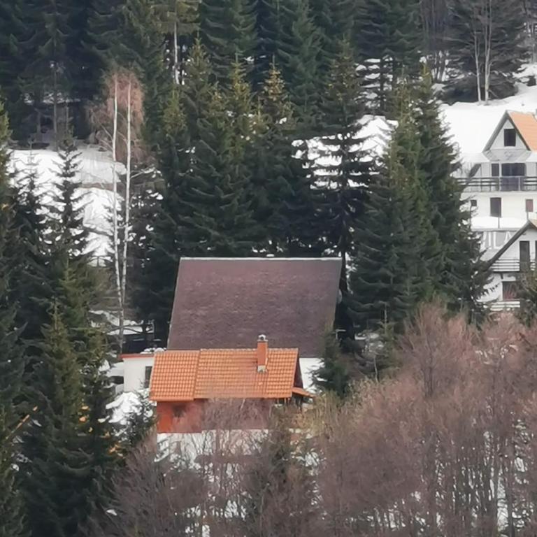 Vila Treska 98 - Five-Bedroom House - 40
