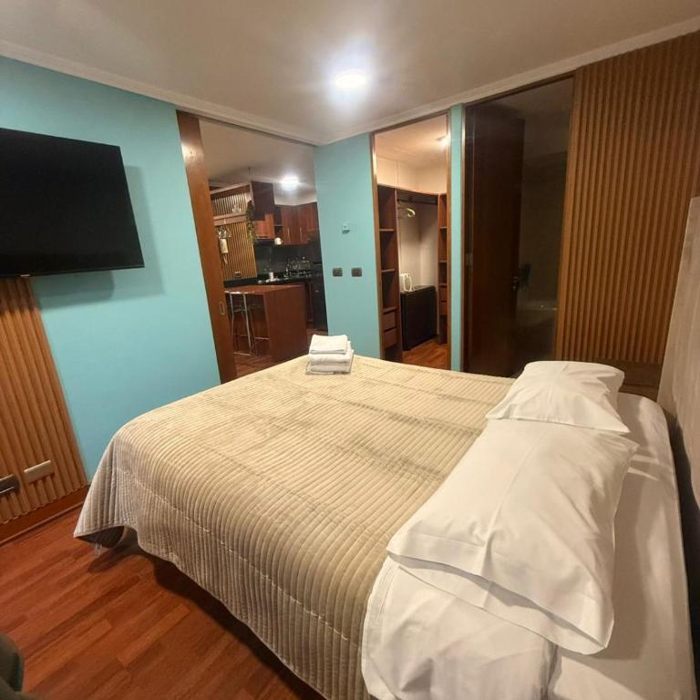 Apartamentos Manuel Montt Suites - Apartment - Ground Floor - 5